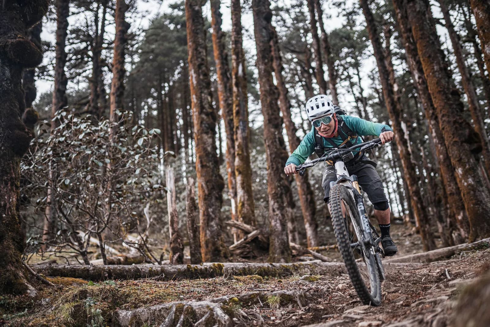 A rider carves forest singletrack between moss-covered trees.