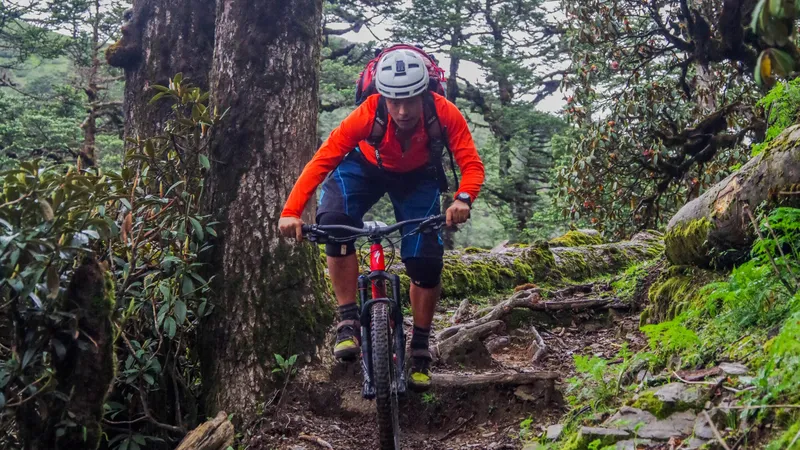 IMGP4830-Copy-scaled