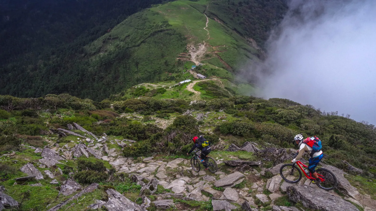 IMGP4877-Copy-scaled