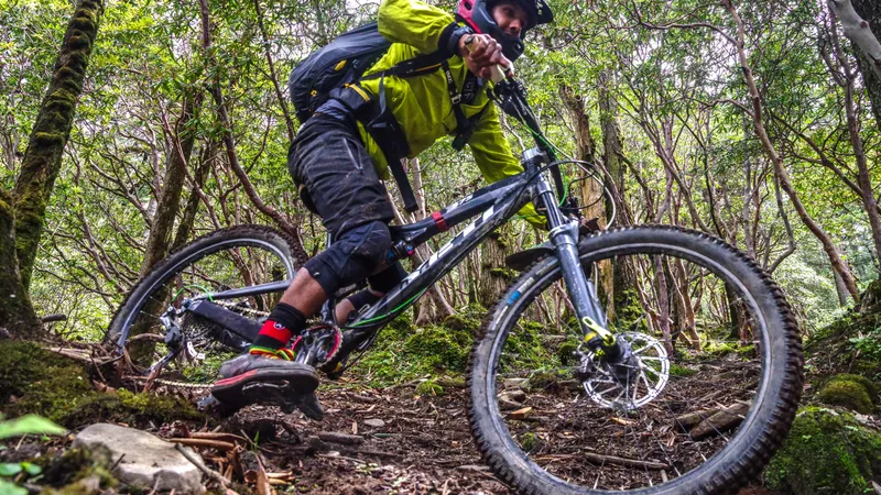 IMGP5207-Copy-scaled