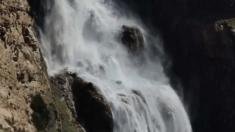 IMG_20220704_084233-scaled